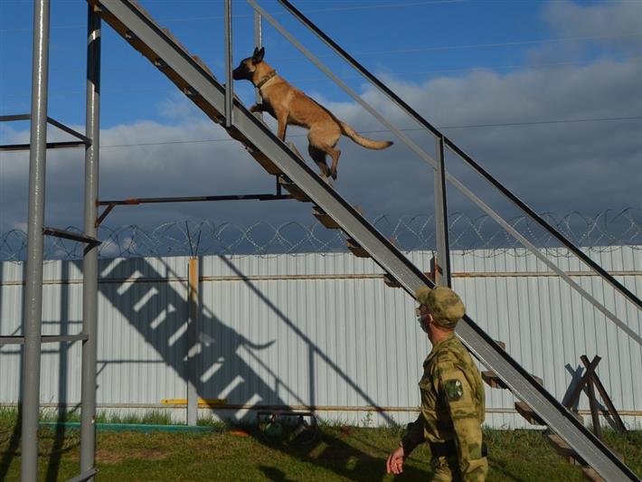 В рубцовском полку Росгвардии проведён сбор дрессировщиков служебных собак