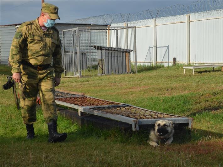В рубцовском полку Росгвардии проведён сбор дрессировщиков служебных собак