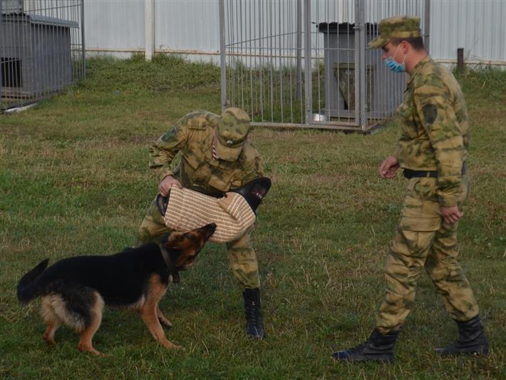 В рубцовском полку Росгвардии проведён сбор дрессировщиков служебных собак