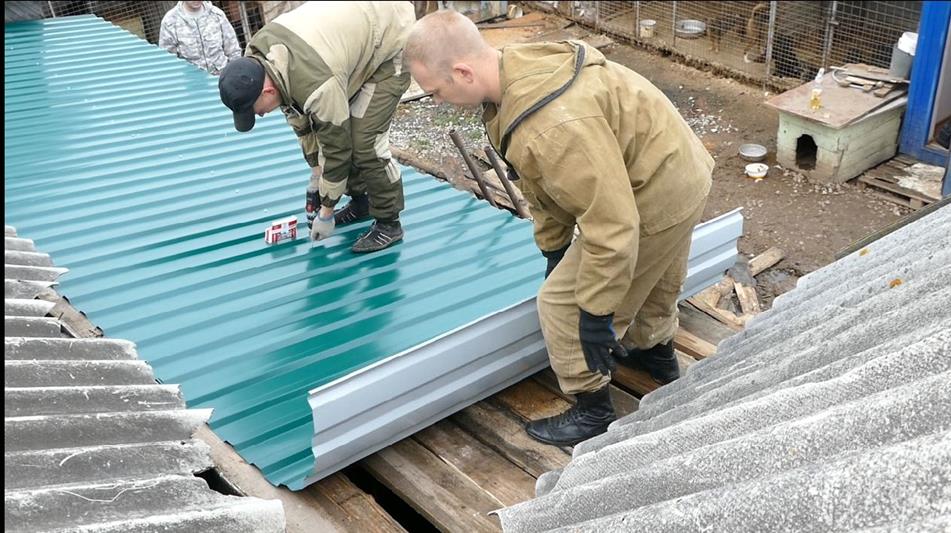 В Томской области росгвардейцы оказали помощь приюту для бездомных животных