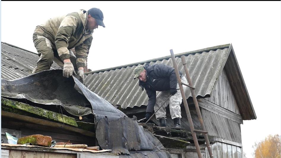 В Томской области росгвардейцы оказали помощь приюту для бездомных животных