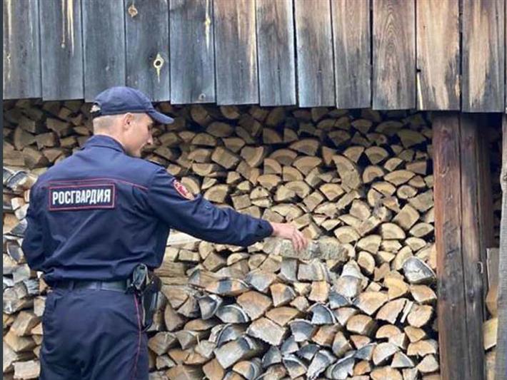 Росгвардейцы из Иркутской области оказали помощь 96-летней пенсионерке с заготовкой дров на зимний период