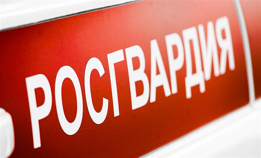 Росгвардейцы Санкт-Петербурга пресекли ряд правонарушений