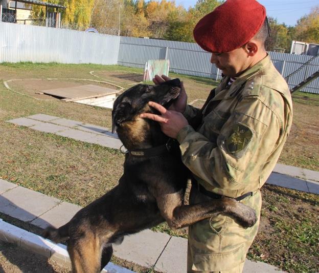 Кинологи Росгвардии завершили профильное обучение в тюменском центре подготовки  
