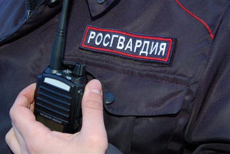 Нарядом Росгвардии в Заполярье задержан подозреваемый в угоне автомобиля