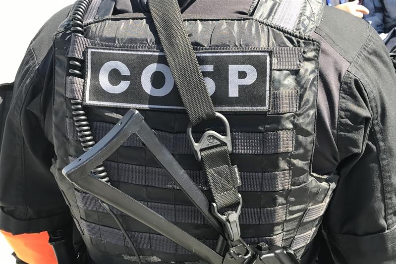 В Санкт-Петербурге при содействии Росгвардии задержана группа лиц, подозреваемых в кражах иномарок 