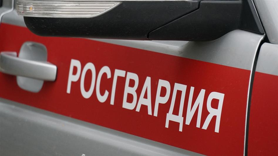 В Подмосковье сотрудники Росгвардии оказали помощь мужчине, пострадавшему в ДТП 