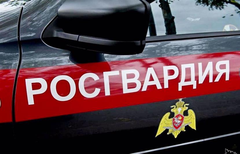 Сотрудники Росгвардия пресекли правонарушение в одном  из севастопольских дошкольных учреждений 