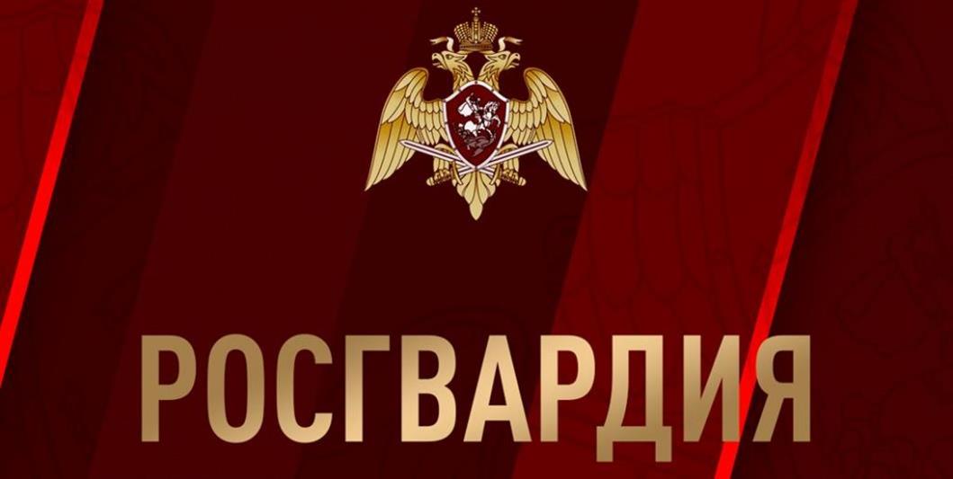 В Удмуртии сотрудники Росгвардии задержали виновницу ДТП со смертельным исходом, скрывшуюся с места аварии