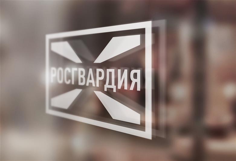 В Тамбовской области росгвардейцы задержали правонарушителей