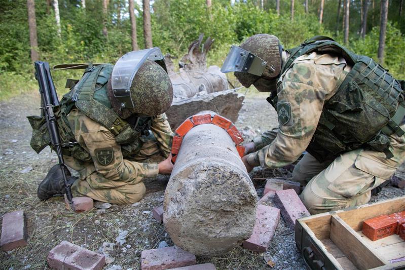 Применение инженерных подразделений войск национальной гвардии по предназначению