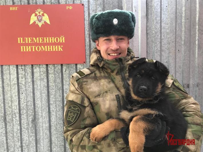 Тюменский кинологический центр Уральского округа Росгвардии передал племенных щенков в подразделения ведомства (видео)