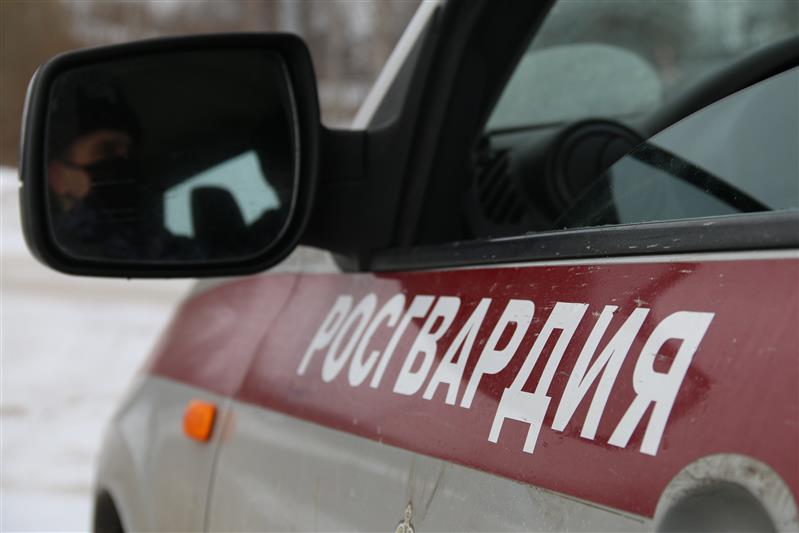 Петербургские росгвардейцы задержали правонарушителей, стрелявших из охолощенного автомата