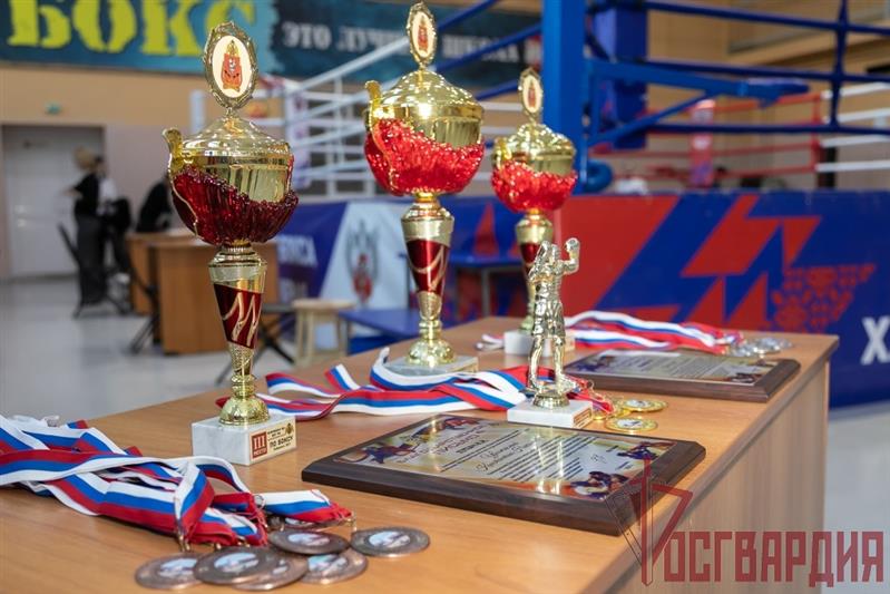В Хабаровске завершился чемпионат Восточного округа Росгвардии по боксу