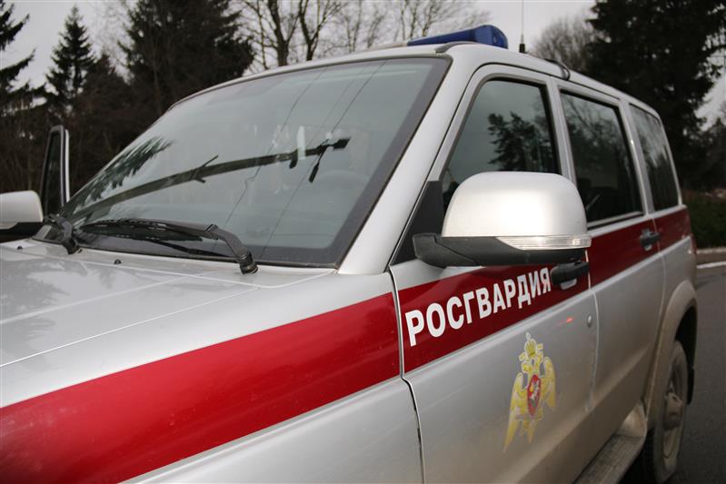 Наряд вневедомственной охраны задержал нетрезвого водителя в Ленобласти