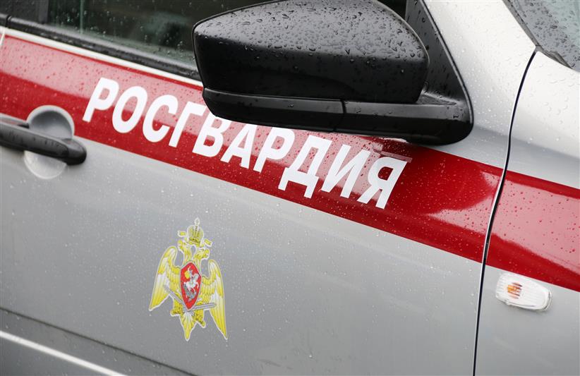 В Москве сотрудники Росгвардии помогли заблудившемуся лосю вернуться в лес