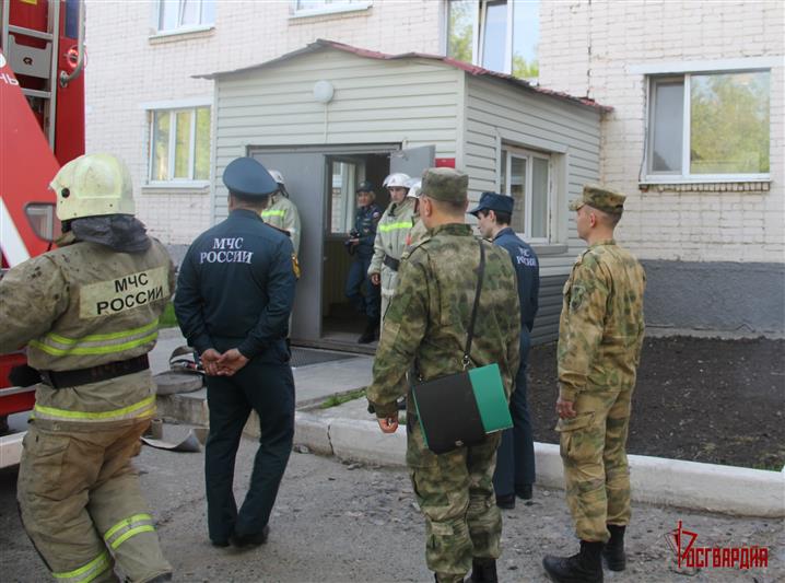 В Тюмени прошло совместное учение военнослужащих кинологического центра Росгвардии и сотрудников МЧС