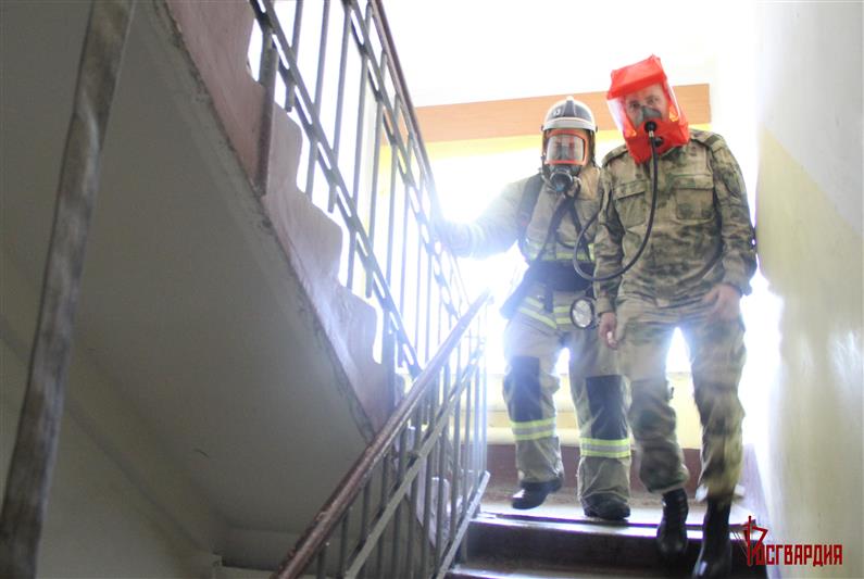 В Тюмени прошло совместное учение военнослужащих кинологического центра Росгвардии и сотрудников МЧС