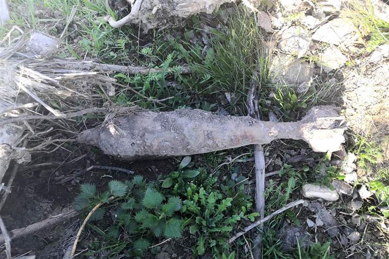  Взрывотехники ОМОН обезвредили боеприпас времён войны, обнаруженный в Ленинградской  области