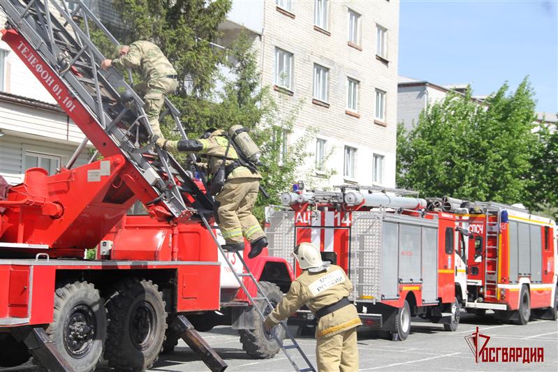 В Тюмени прошло совместное учение военнослужащих кинологического центра Росгвардии и сотрудников МЧС