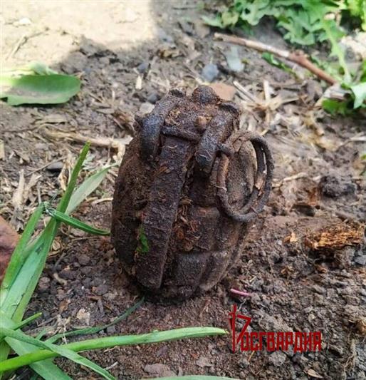 В Тюменской области сапёры Росгвардии обследовали и уничтожили боеприпас времен Первой мировой войны