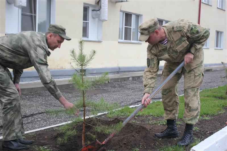 Военнослужащие омской воинской части Росгвардии приняли участие во всероссийской акции «Лес Победы»