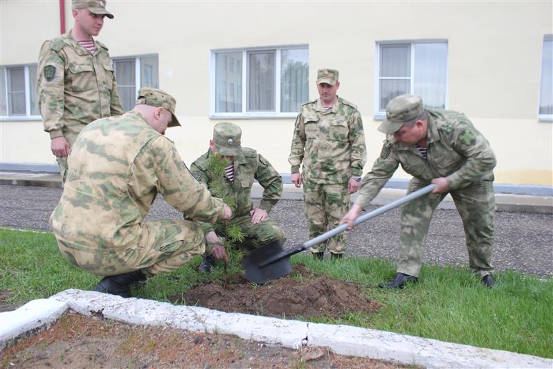Военнослужащие омской воинской части Росгвардии приняли участие во всероссийской акции «Лес Победы»
