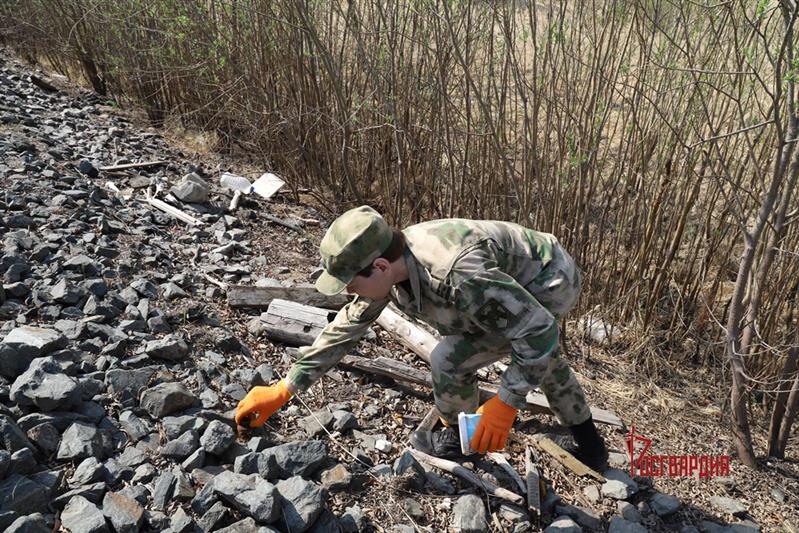 В Югре военнослужащие и сотрудники Росгвардии приняли участие во всероссийской масштабной экологической акции