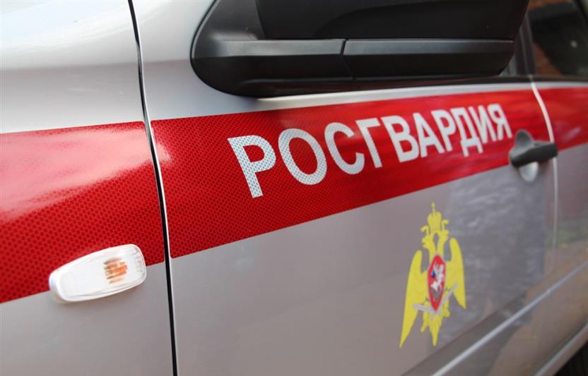 В Ярославской области росгвардейцы разыскали пропавших детей