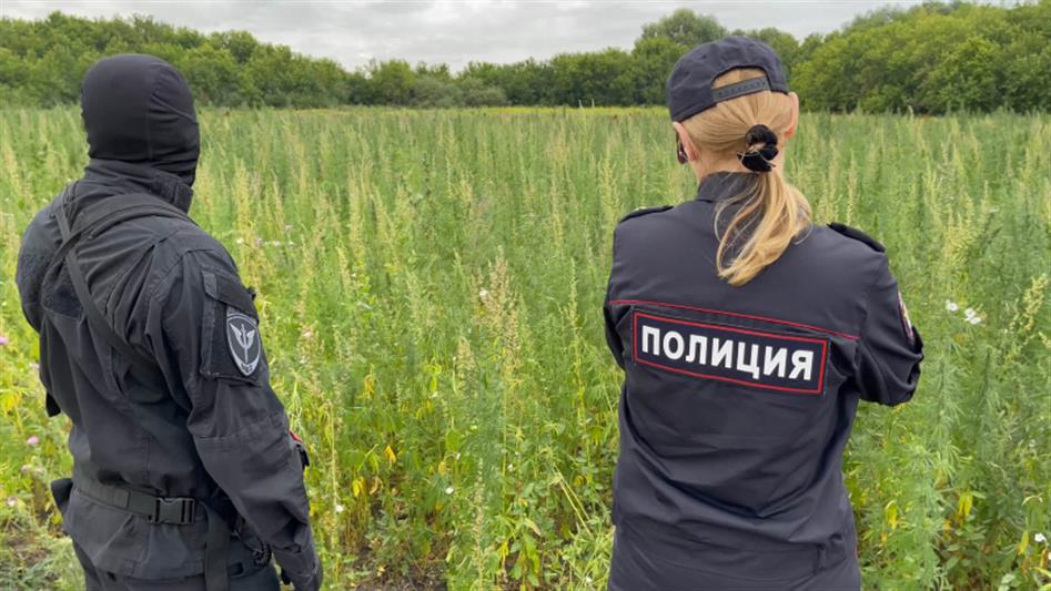  При содействии ОМОН Росгвардии в Челябинской области задержан мужчина, засеявший более двух гектаров семенами конопли