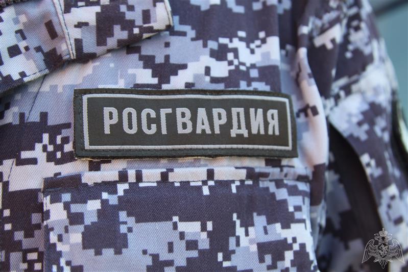 В Подмосковье сотрудники Росгвардии задержали подозреваемых в грабеже