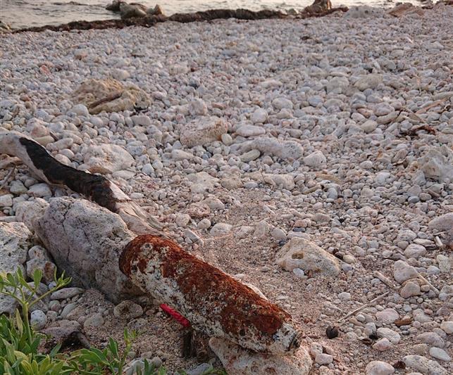 В Севастополе росгвардейцы обследовали боеприпас времен Великой Отечественной войны