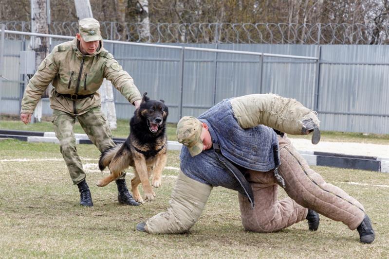 Победа любит подготовку