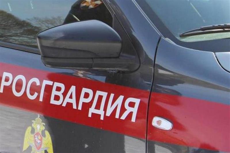  Сотрудники  Росгвардии задержали нетрезвого водителя в Новой Москве