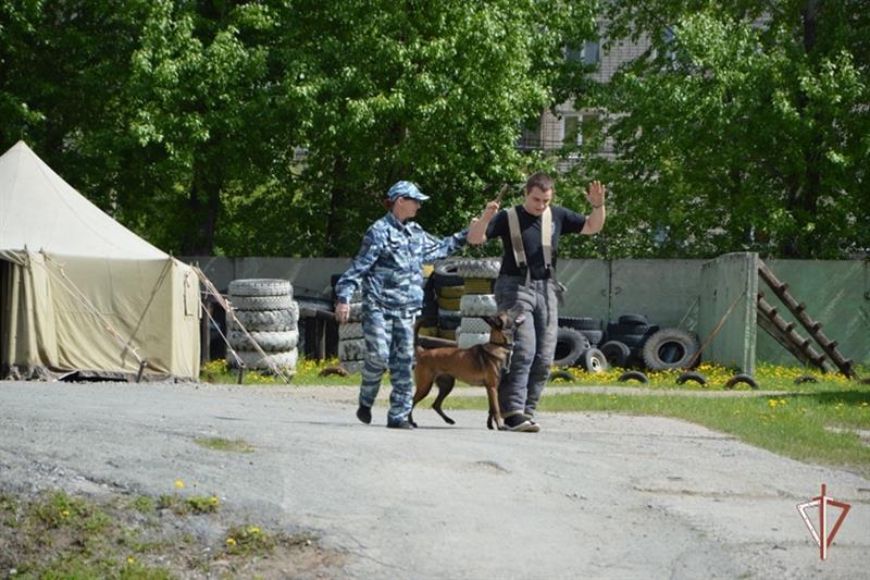 День спорта с Росгвардией прошел в Свердловской области