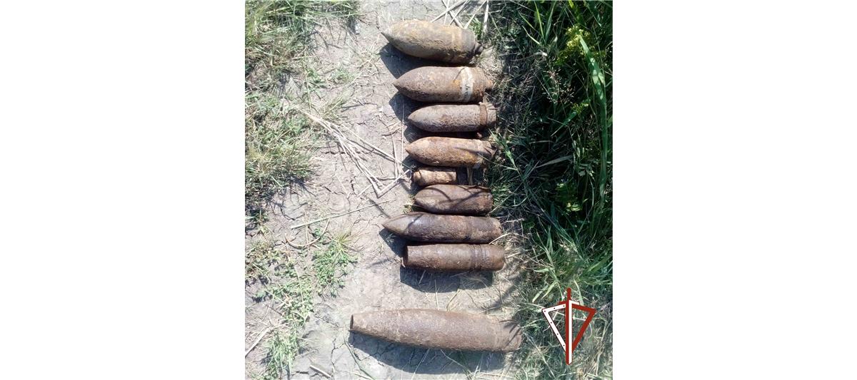В Курганской области группа разминирования ОМОН Росгвардии обезвредила найденные у берега озера боеприпасы