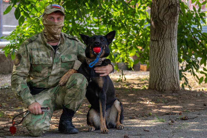 Немецкие овчарки, прошедшие обучение в Тюмени, поступили на службу в кубанский ОМОН на транспорте (видео)