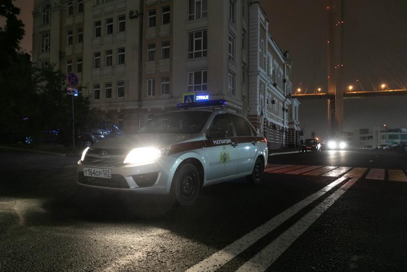 Стражи Владивостока