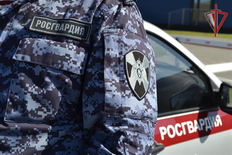  Росгвардейцы пресекли движение лишенного водительских прав жителя Омской области  