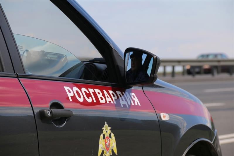 Во Всеволожске сотрудники Росгвардии задержали нетрезвого водителя