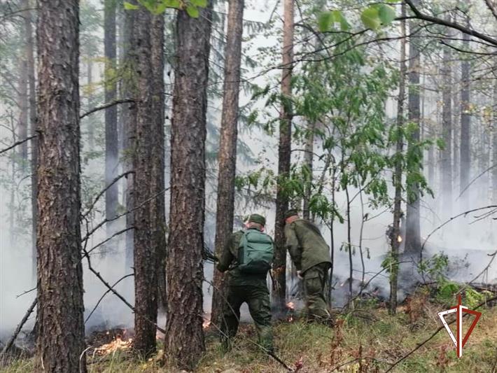 Росгвардейцы помогли в тушении природного пожара в Свердловской области