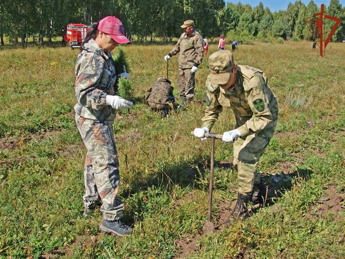 При участии росгвардейцев в Хакасии заложен кедровый лес