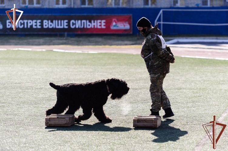 Кинологи Росгвардии стали лучшими на межведомственном турнире в Хабаровске