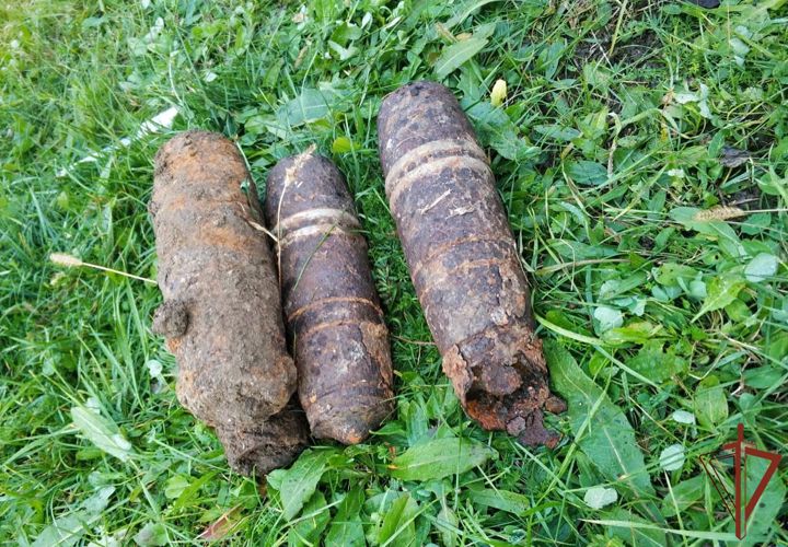 В Адыгее взрывотехники ОМОН Росгвардии уничтожили боеприпасы периода Великой Отечественной войны 