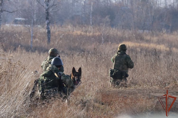 Тактическое учение красноярского соединения Росгвардии прошло в Железногорске