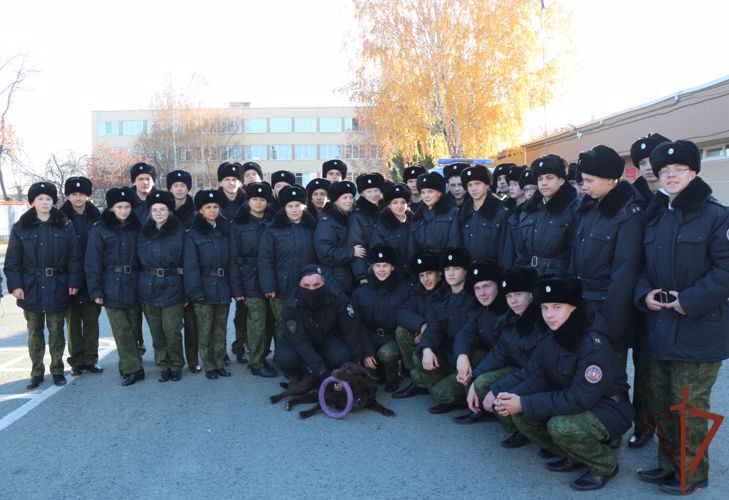 Екатеринбургским кадетам показали умения служебных собак Росгвардии