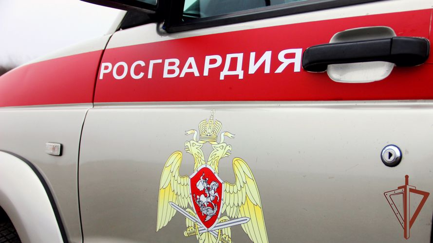 Росгвардейцы задержали в Архангельске нетрезвого водителя 