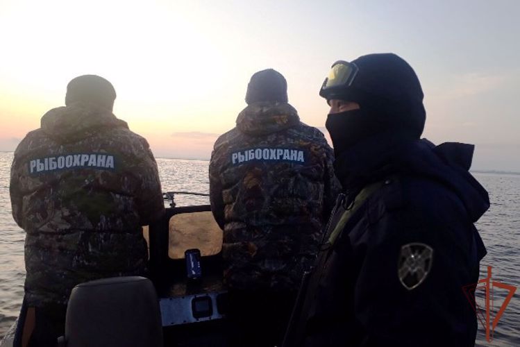 Росгвардия помогла вернуть государству более 700 кг незаконно выловленной рыбы в Бурятии