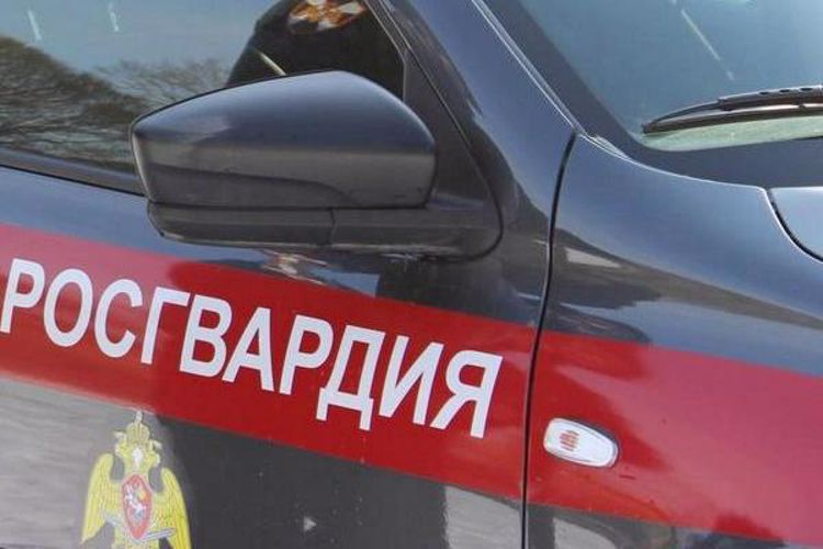 На Урале сотрудники Росгвардии задержали лиц, совершивших правонарушения 