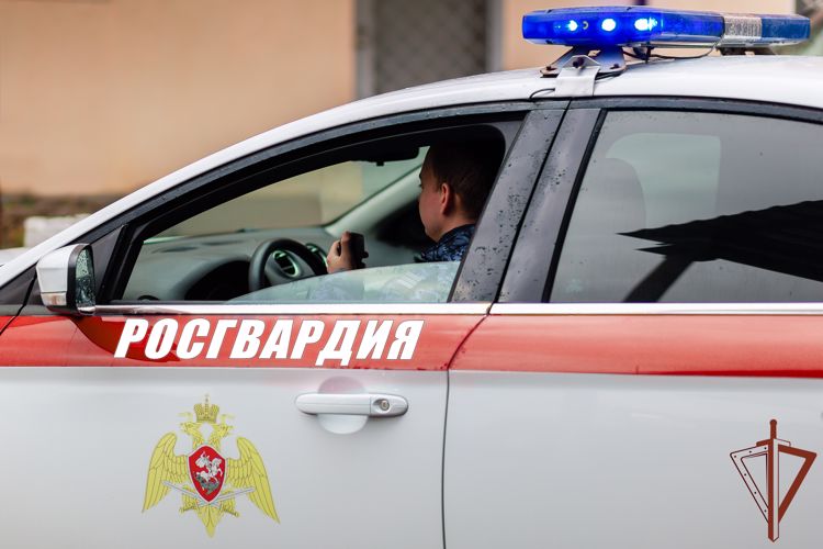 Сотрудники Росгвардии пресекли уличный конфликт в Анапе